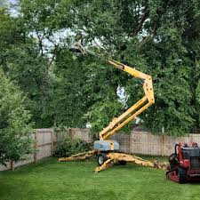 Seasonal Cleanup (Spring/Fall) in Stanton, KY